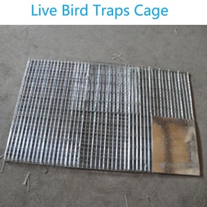 China Leverancier Multi Catch Live Metalen Vogel Vallen Kooi Ebay - Product Image 4
