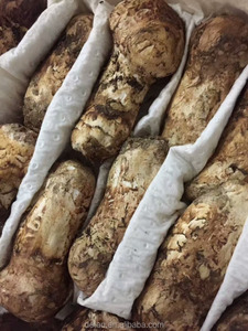 Detan liofilizado <span class=keywords><strong>tricholoma</strong></span> <span class=keywords><strong>matsutake</strong></span> setas packaginig - Product Image 2