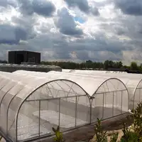 Büyük plastik tarım sera tüneli sebze seralar satılık