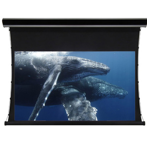 72inch ~ 400inch lớn 15 chân Màn hình máy chiếu điện/tab-tensioned màn hình chiếu cơ giới với vải HD - Product Image 5