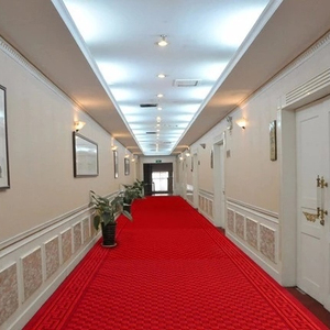 Elegante Su Misura Design Hotel <span class=keywords><strong>Corridoio</strong></span> Tappeto <span class=keywords><strong>per</strong></span> La decorazione Domestica, Hotel tappeto - Product Image 2