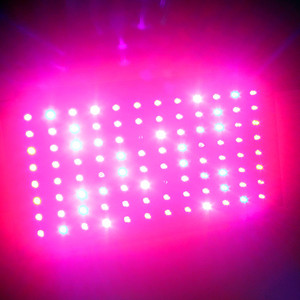 2016 venta caliente artículo de alimentación en sistemas de cultivo hidropónico alto lumen 300 <span class=keywords><strong>w</strong></span> led crece la luz - Product Image 6