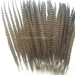 China proveedor barato plumas de <span class=keywords><strong>faisán</strong></span> del ringneck - Product Image 3