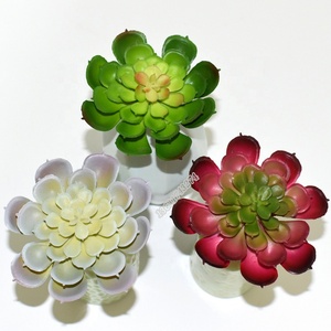 Nuevo estilo directamente de la fábrica barato y de <span class=keywords><strong>alta</strong></span> calidad de PVC mini <span class=keywords><strong>echeveria</strong></span> planta - Product Image 1