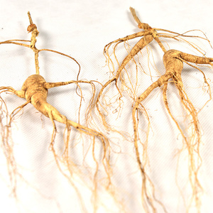 Polvo y cápsulas de ginseng seco Sabor dulce y amargo para adultos - Product Image 3