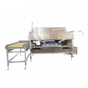 High efficient industrial chicken egg peeling machine / egg peeling processing line