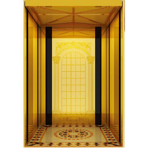 Shanghai Fuji <b>Passenger</b> Elevator Villa Lift Hospital Bed Elevator for Sale - Product Image 1