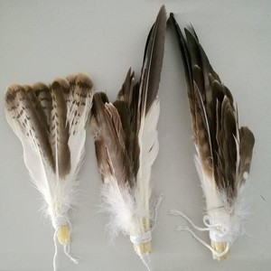 Bán Hot Big Rare <span class=keywords><strong>Eagle</strong></span> Tail Feather Cho Trang Phục Và Mũ Nón - Product Image 4
