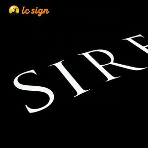 Insegna Luminosa Personalizzata con Lettere LED Frontali, Insegna 3D Illuminata per Esterni, Logo Luminoso per Vetrine - Product Image 6