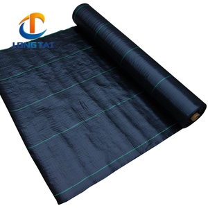 Tela <span class=keywords><strong>de</strong></span> paisaje <span class=keywords><strong>de</strong></span> alta resistencia, cubierta <span class=keywords><strong>de</strong></span> suelo <span class=keywords><strong>de</strong></span> invernadero, PP, barrera <span class=keywords><strong>de</strong></span> plástico para malas hierbas, tela <span class=keywords><strong>de</strong></span> paisaje, estera <span class=keywords><strong>de</strong></span> malas hierbas negra con línea - Product Image 4