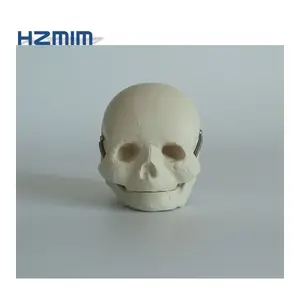 الإنسان الطفل البلاستيك مجسم لجمجمة