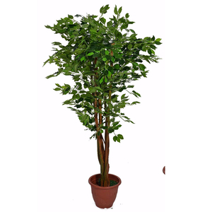 UK-Jardines Grandes Ficus Benjamina Árbol Artificial Planta En Maceta Artificial - Product Image 1