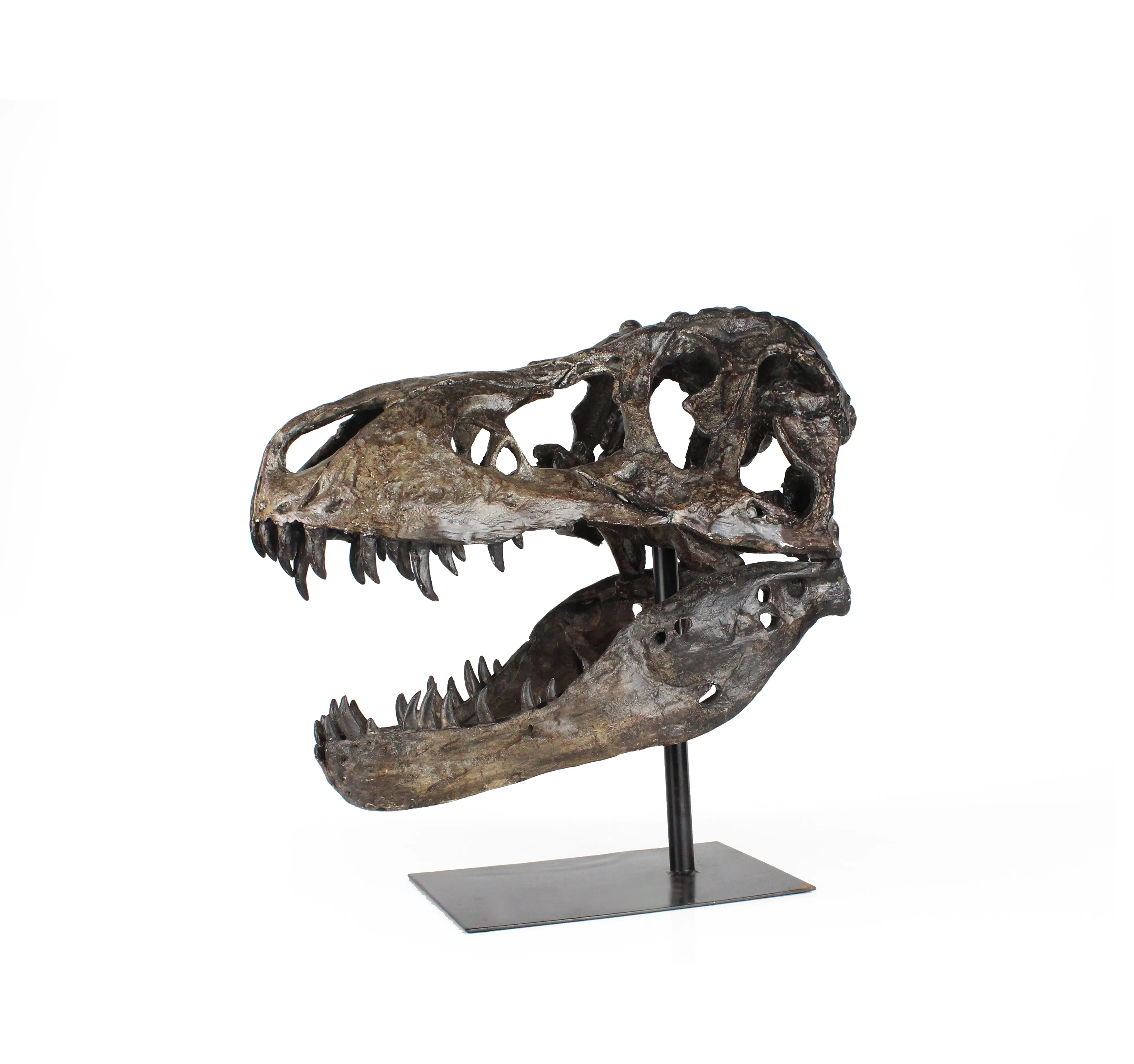 Cráneo de dinosaurio tiranosaurio cabeza de animal de resina tallada en 3D para decoración del hogar