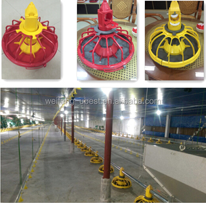 Suministros profesionales para granja de aves de corral, para <span class=keywords><strong>pollo</strong></span> de asador en China - Product Image 2