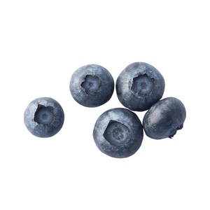Fuers — fausses fleurs séchées, fruits, nouvelle marque chinoise de haute qualité, pour la fabrication de fruits, myrtille, qqf, prix de gros - Product Image 1