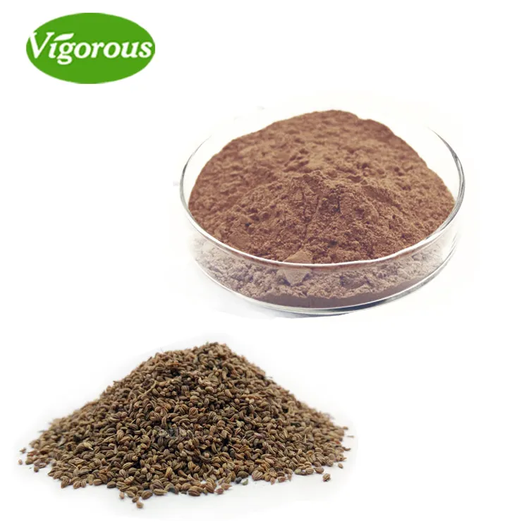 100% Pure Natural Ajwain Carom Seeds Extract Powder