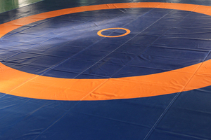 Colchoneta de lucha de 60mm, aprobada por UWW, Judo Jiu Jitsu - Product Image 3