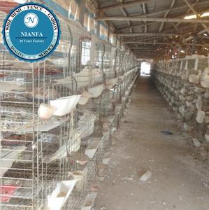 Cages à pigeons Nianfa <span class=keywords><strong>pas</strong></span> chères avec boîte à nourriture et boîte à eau (usine de Guangzhou) - Product Image 2