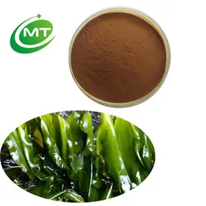 Bột Chiết Xuất Từ Cây Vesiculosus Bladderwrack Hữu Cơ Giá Xuất Xưởng 20:1