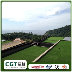 Surtidor de oro <span class=keywords><strong>del</strong></span> medio ambiente decorativo jardín de la familia <span class=keywords><strong>campo</strong></span> hierba, hierba artificial césped para gradens - Product Image 1
