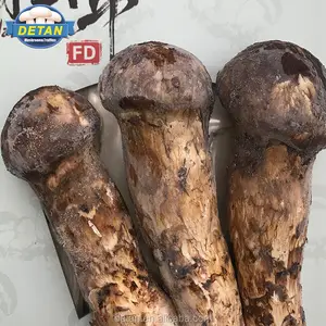 Detan congelados setas matsutake precio de exportación