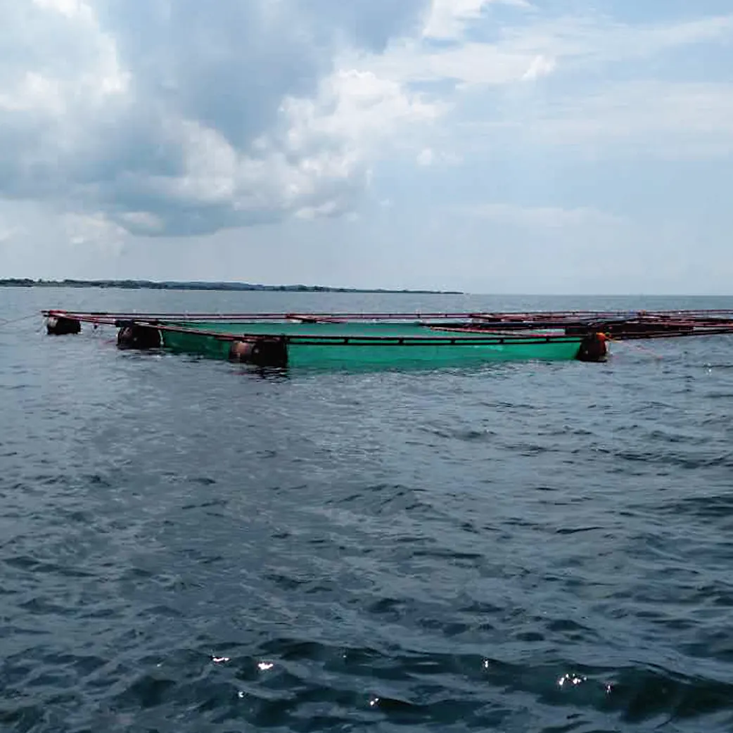 Jaring Ikan Sangkar Ikan Mengambang Cina Dompet Net Seine