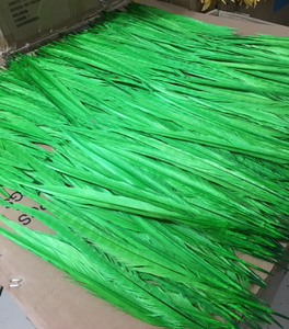 Màu Sắc khác nhau Pheasant <span class=keywords><strong>Feather</strong></span> Nhà Máy cung cấp Tẩy Trắng và Nhuộm Ringneck Gà Lôi Đuôi Lông Màu Xanh Lá Cây - Product Image 6