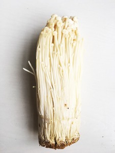Nombre Botánico del Hongo Enoki Fresco Detan - Product Image 4
