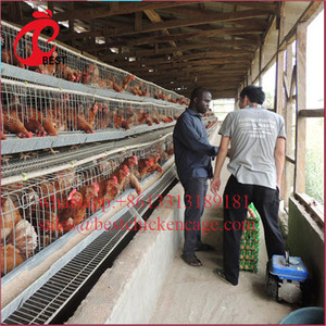Di vendita caldo del metallo gabbia di polli da carne farm pollo di allevamento coop con ottimo prezzo - Product Image 4