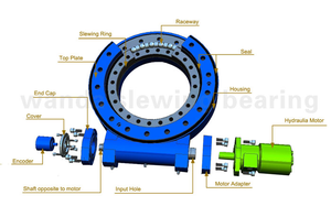 SE12 <span class=keywords><strong>Slewing</strong></span> <span class=keywords><strong>Drive</strong></span> <span class=keywords><strong>12</strong></span> "gigi cacing produsen Motor DC/AC - Product Image 4