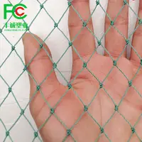 Plastic Agricultural Garden Fence Net, Strong Bird Mesh