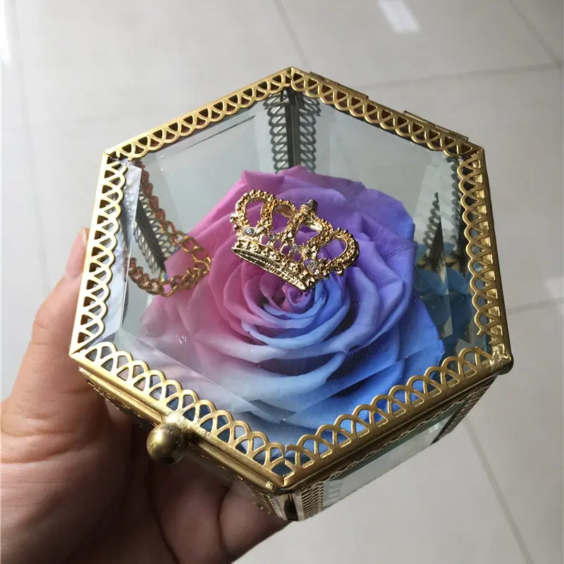 Grosir Warna Pelangi Diawetkan Mawar Segar Bunga Mawar Abadi Dalam Kotak Kaca untuk Hari Valentine