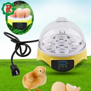 100 chicken egg incubator bangladesh