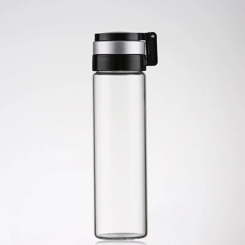 Bouteille d'eau filtre portable en verre, ml, filtre à eau multi-fonctions, contenant pour thé, eau saine, voss, vente en gros
