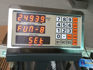 Hiệu Chuẩn Quy Mô Nền <span class=keywords><strong>Tcs</strong></span> 500Kg - Product Image 2