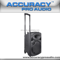 Altavoz inalámbrico de precisión Pro Audio CSV10AU-V2BP-BT, potente altavoz amplificado portátil con micrófono recargable