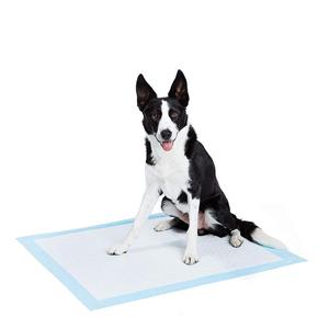 Desechables de absorber para mascotas <span class=keywords><strong>cachorro</strong></span> de perro para mascotas adiestramiento baño <span class=keywords><strong>pis</strong></span> almohadillas - Product Image 6