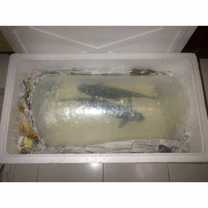 eco fish box White TACILIP Gifts for Family, Fish