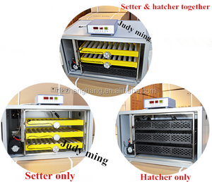 Incubatrice Industriale a Rulli ZH-180 in Vendita con Doppia Alimentazione 220V e 12V, Macchina Automatica per 200 Uova - Product Image 2