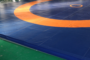 Colchoneta de lucha de 60mm, aprobada por UWW, Judo Jiu Jitsu - Product Image 5