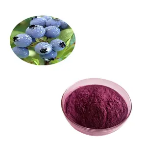 Factory Supply Pure Bill Berry Extract Poeder Billberries Fruit P.E.