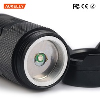 Linternas de Luz Ultravioleta Violeta de 395 nm, Detector de Fluorescencia, Detector de Orina de Mascotas, Linterna LED Ultravioleta