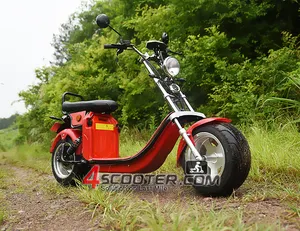 电动自行车 3000/电动摩托车/廉价电动摩托车