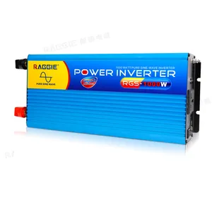 RAGGIE 1000 W 1KW Pure Sinus Solar Power Inverter 12 V NAAR 220 V Lage Prijs Hoge Kwaliteit