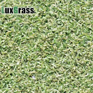 קריקט דשא דשא מלאכותי שטיח מחצלת סרי לנקה