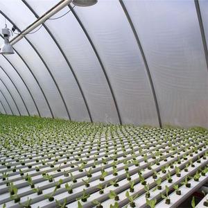 Landwirtschaft Gewächshaus Flache Hydrokultur kommerziellen hydrokultur - Product Image 3