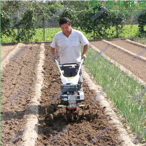 1WG-6YJ 4hp mini rotary tiller cultivator