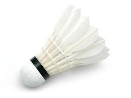 Class A ขนห่านธรรมชาติ OEM แบดมินตันการแข่งขันลูกขนไก่ - Product Image 2