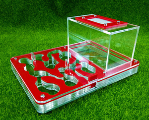 Helder Acryl Dier Huis Acryl Mierendoos - Product Image 5