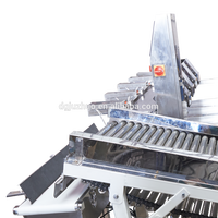 Populaire Plantaardig Gewicht Sorteermachine Voor Tomaat, Peer, Kiwi Fruit, Appel JZW-100g